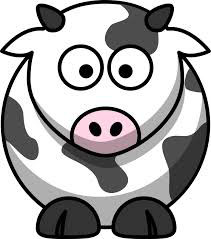 cow picture